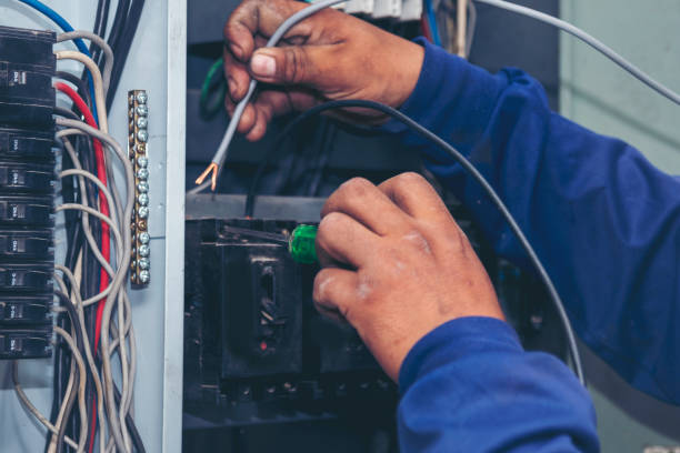 Best Licensed Electrician  in Harmony Grove, CA